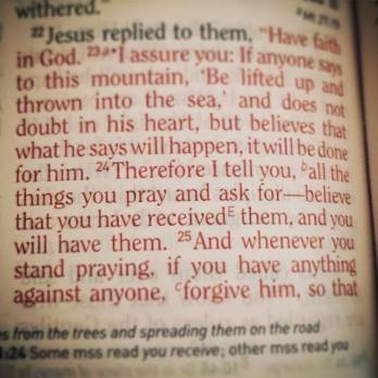 14330056_10210339915352774_655975097407001371_n