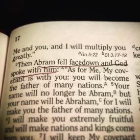 17308967_1283375155081111_2298458613775755243_n